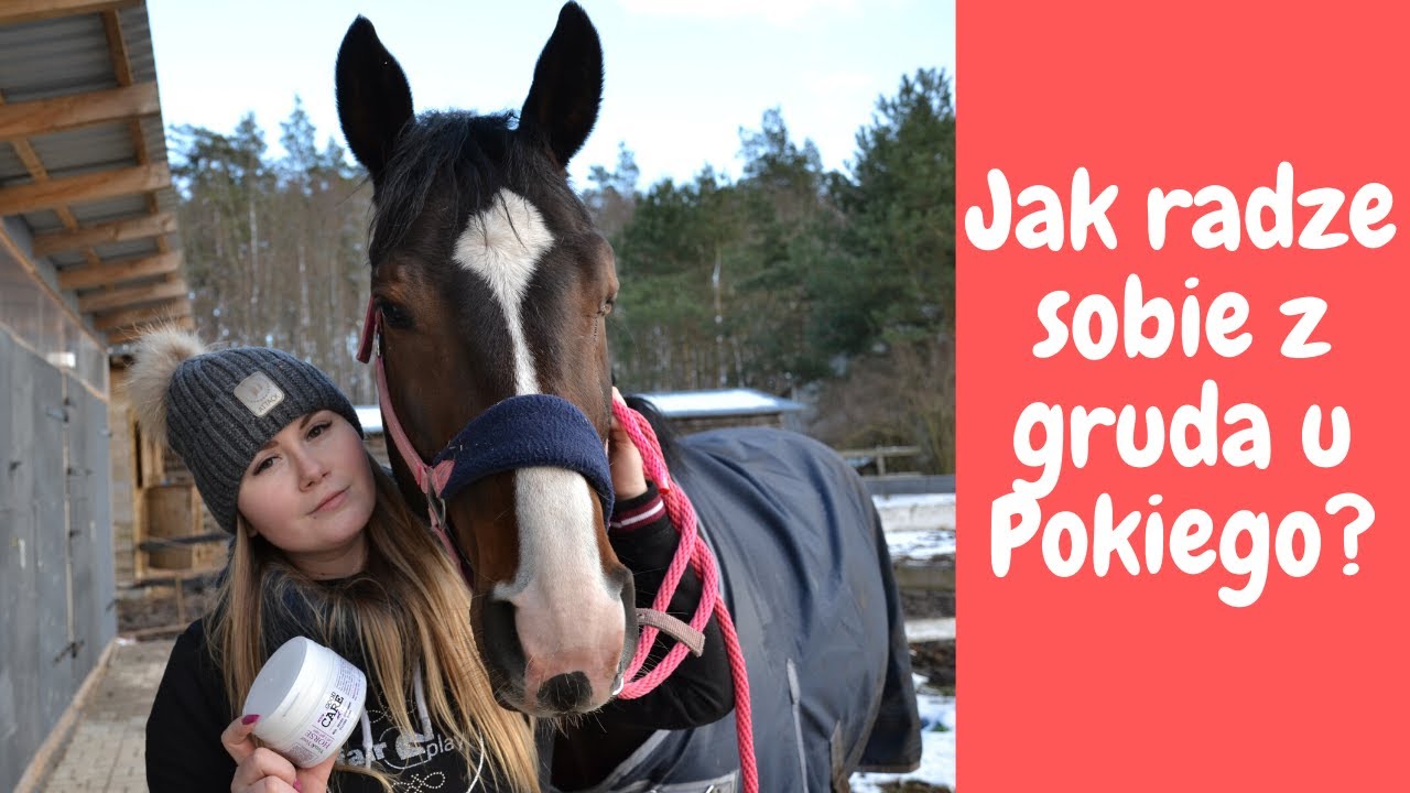 Jak radzę sobie z grudą u Pokiego?