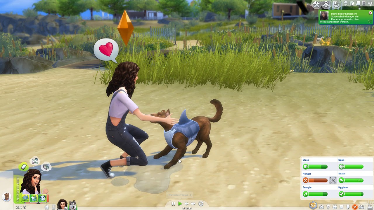 WIR ADOPTIEREN EINE STREUNER #03 DIE SIMS 4 - HUNDE UND KATZEN - Let's Play The Sims 4