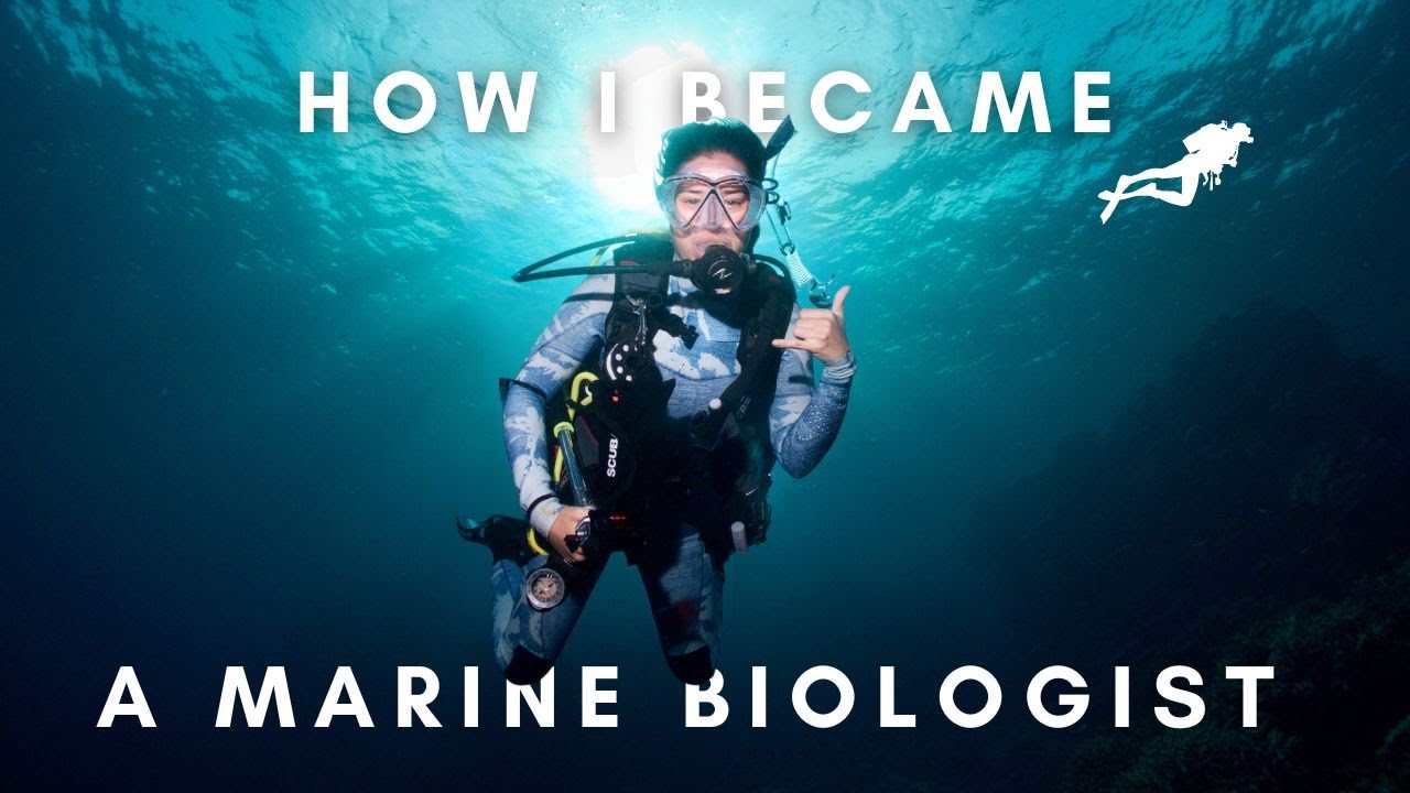 How I Became a MARINE BIOLOGIST Living in HAWAII