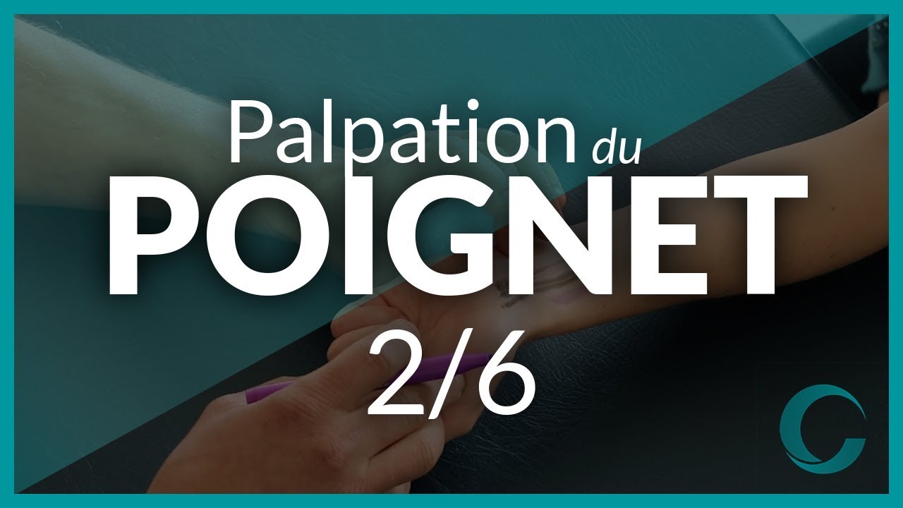 PALPATION DU POIGNET - Partie 2 -  Os de la première rangée des os du carpe