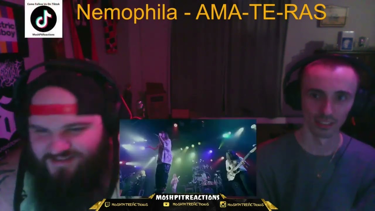 Nemophila - AMA-TE-RAS | These ladies are unstoppable! {Reaction}