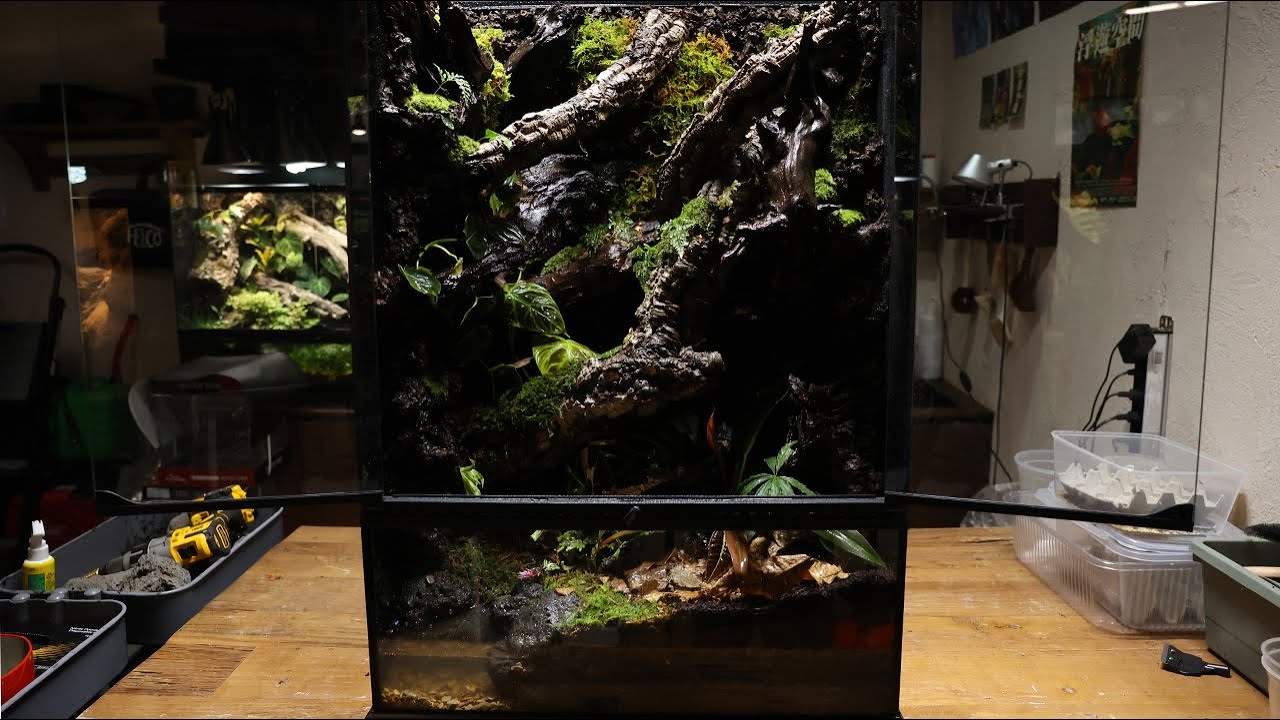 Forest vivarium of cork stems | 코르크 줄기의 숲 비바리움 | 60*45*90cm
