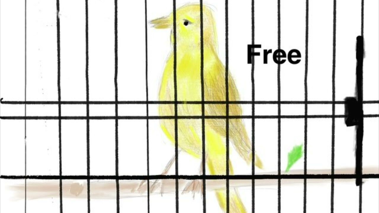 Free - an original song by @MikaelHc1 and @harriet-b 