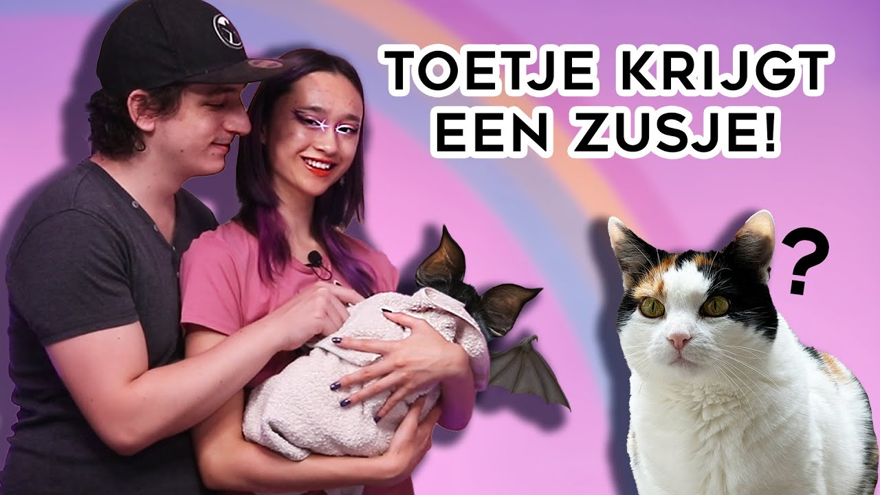 ONZE NIEUWE BABY......... (het is een kitten)