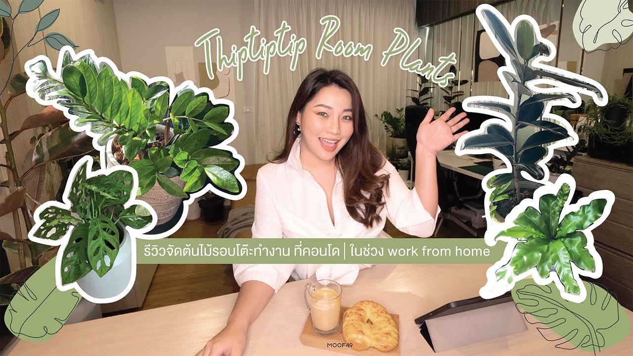 เปิดห้อง รีวิวต้นไม้ในคอนโด ต้นไม้ฟอกอากาศ? ต้นไม้ในร่ม? 🌿 work from home | THIPTIPTIP | MOOF49
