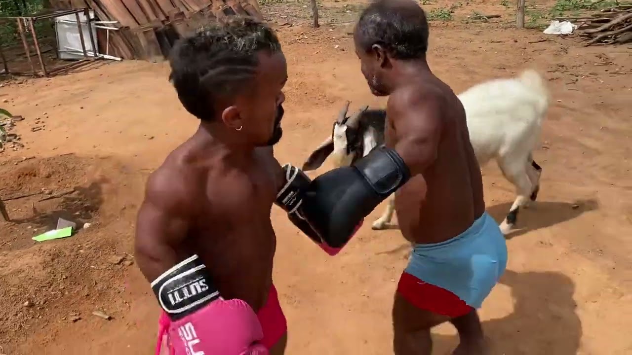 CHAGUINHA E ZÉ FURÃO ELE COMEÇARAM A BRIGAR