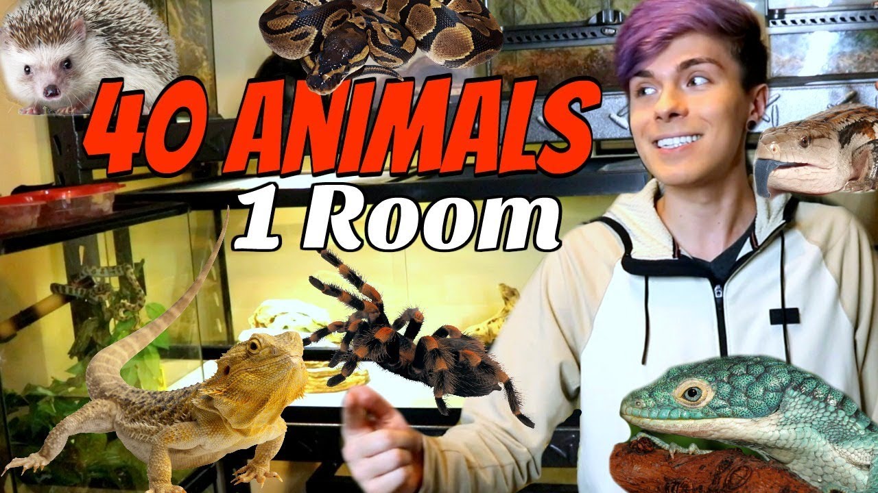 Animal Room Tour In My New House! | 40 Animals in 1 Room