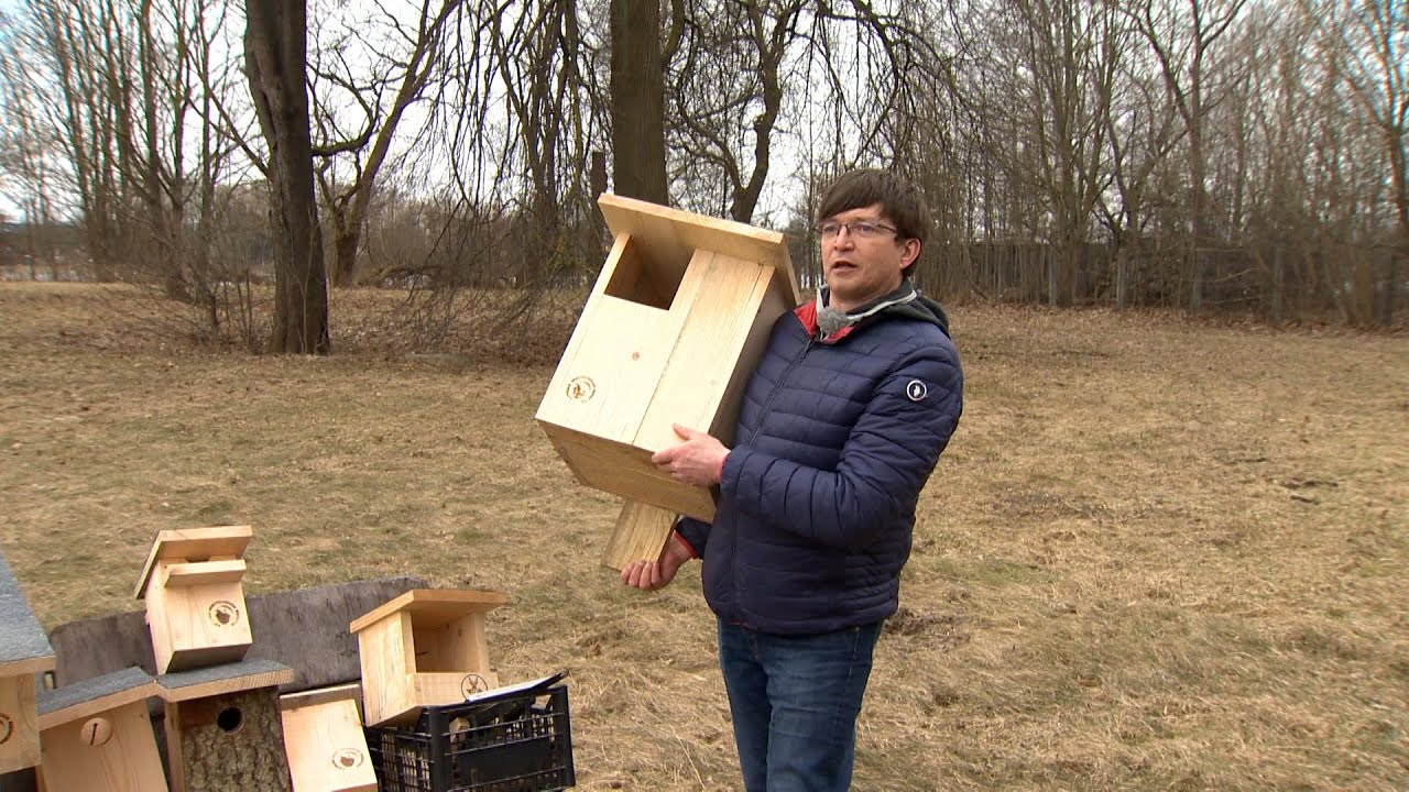 Astoņi putnu būri - astoņiem dažādiem putniem.