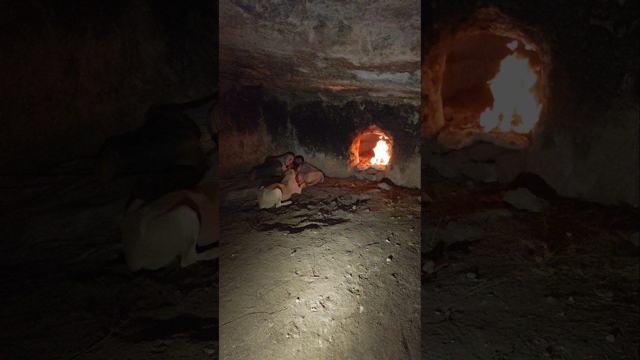 Discovering a Hidden Cave Shelter in the Wild with My Dog 🏕️ | Bushcraft Survival Adventure