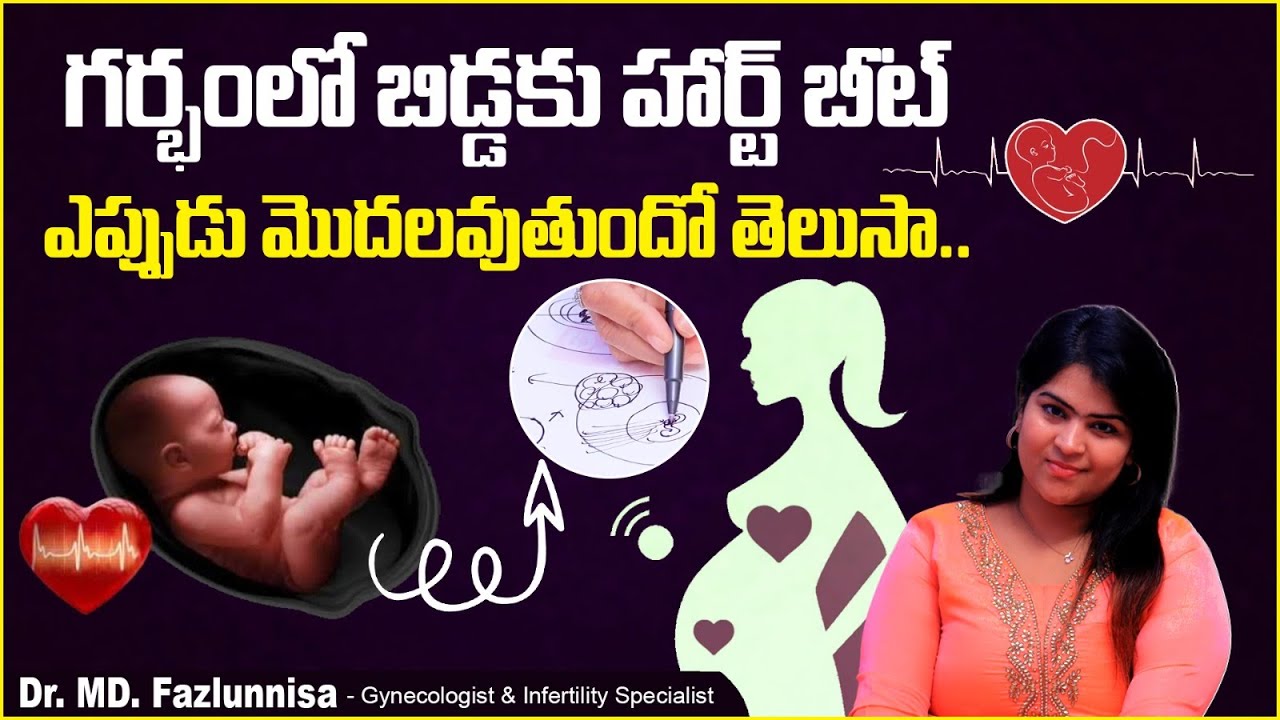 గర్భంలో బేబీ హార్ట్ బీట్ || When Baby Heartbeat Starts in Pregnancy Telugu || Hira Fertility Center