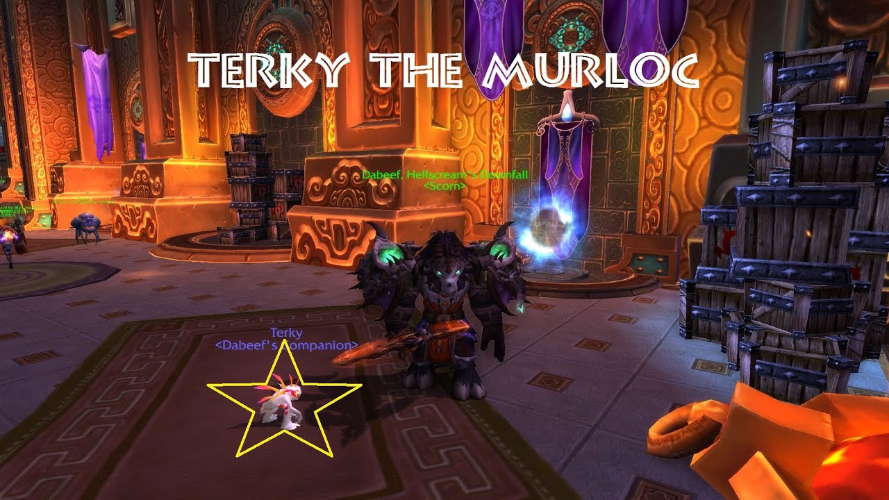 How to find Terky the Murloc