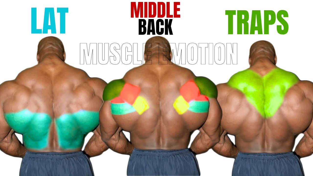 TOP 15 BEST BACK WORKOUT AT GYM  ( LATISSIMUS DORSI ,MIDDLE, BACK,  TRAPS MUSCLE )
