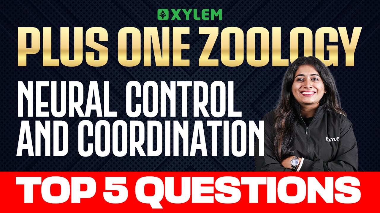 Plus One Zoology | Neural Control and Coordination | Top 5 Questions | Xylem Plus One