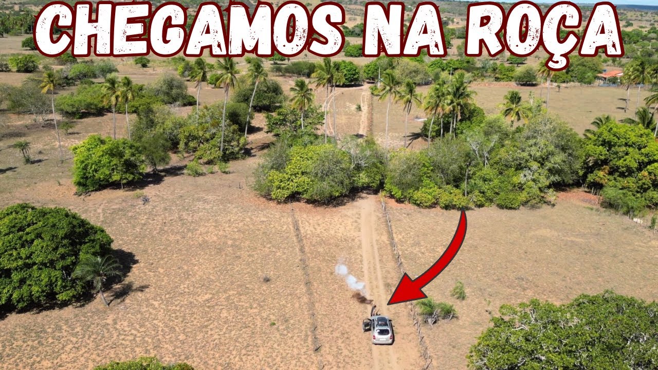 14- NOSSA CHEGADA NA ROÇA, POVOADO DO CAUÊ NOVA SOURE-BA, VIAGEM DE CARRO DE SP x BAHIA 