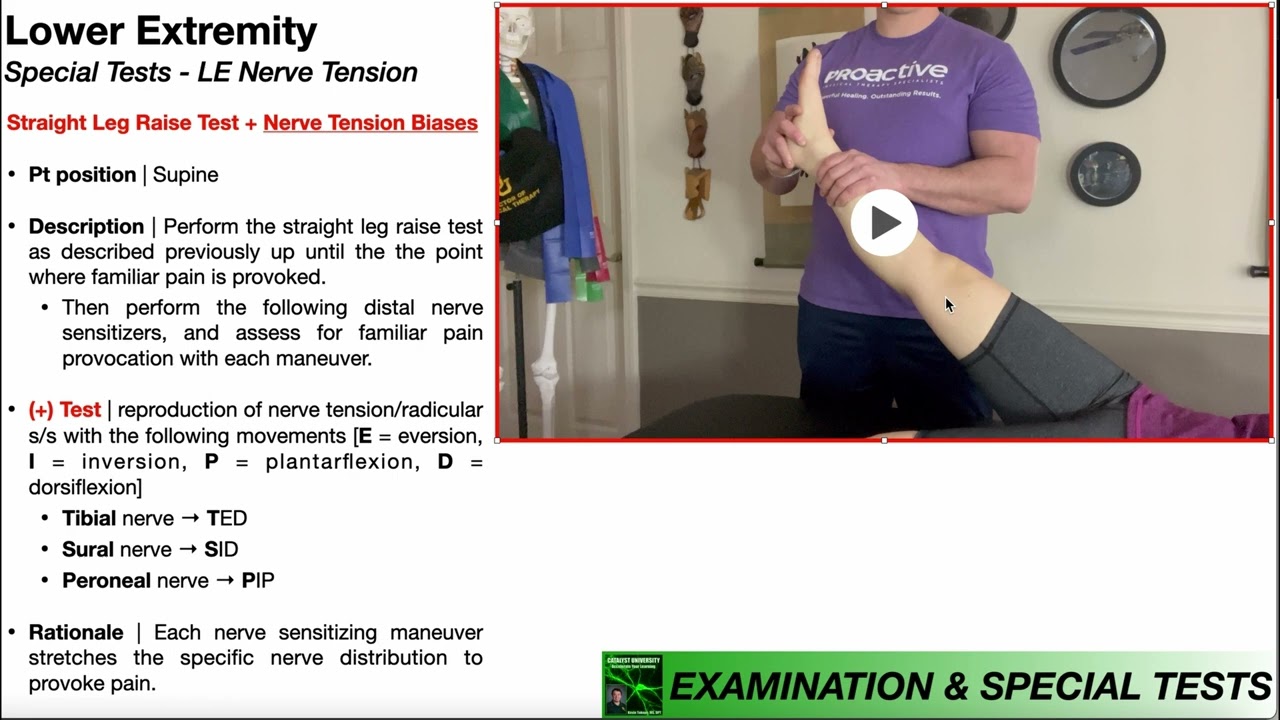 Lower Extremity Nerve Sensitizers | Tibial, Sural, & Peroneal Nerves