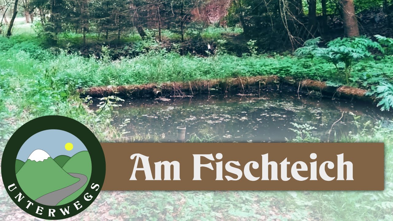 Am Fischteich - VLOG Outdoor