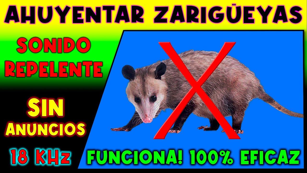 SONIDO PARA AHUYENTAR ZARIGUEYAS 🚫🐭 REPELENTE DE ZARIGUEYAS