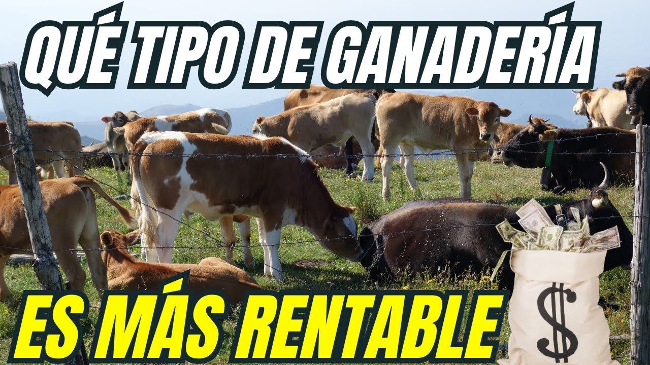 &iquest;Qu&eacute; tipo de ganader&iacute;a es m&aacute;s rentable