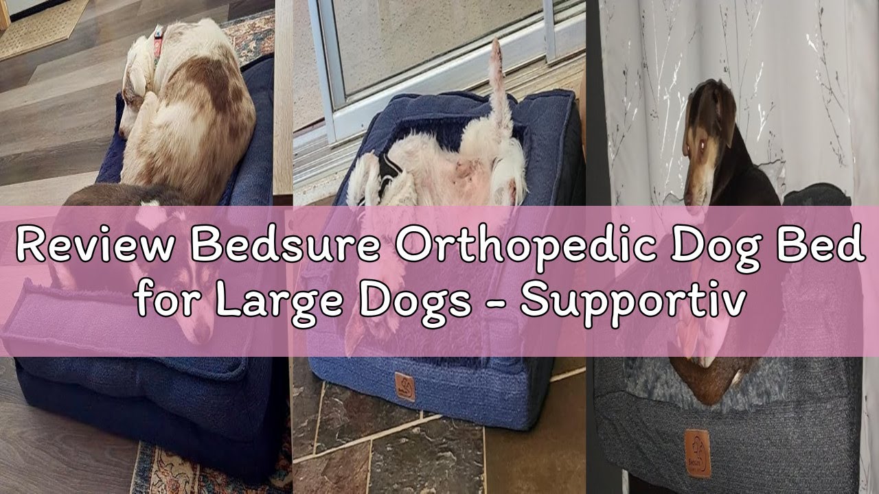 Review Bedsure Orthopedic Dog Bed for Large Dogs - Supportive Egg Foam Dog Sofa Bed, Bolster Couch P