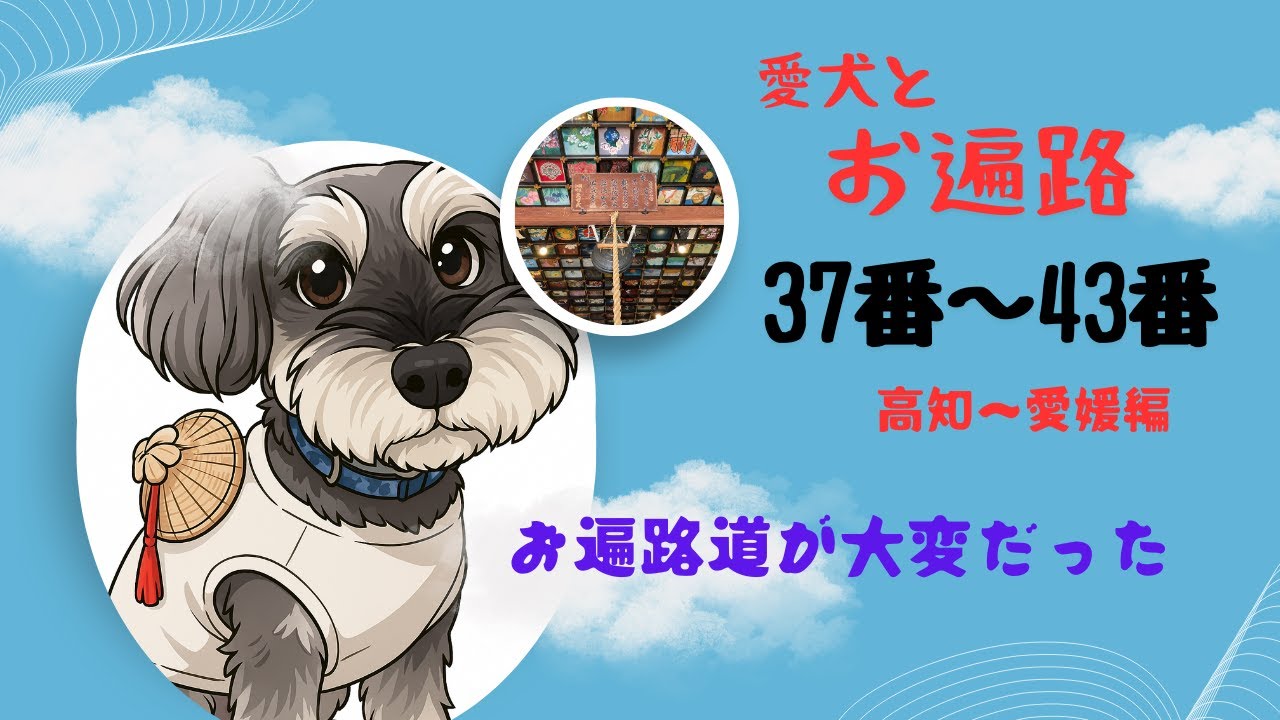 愛犬とお遍路37番〜43番どんどん楽しくなるお遍路旅。観光と鯛めしも愛犬と一緒　＃32