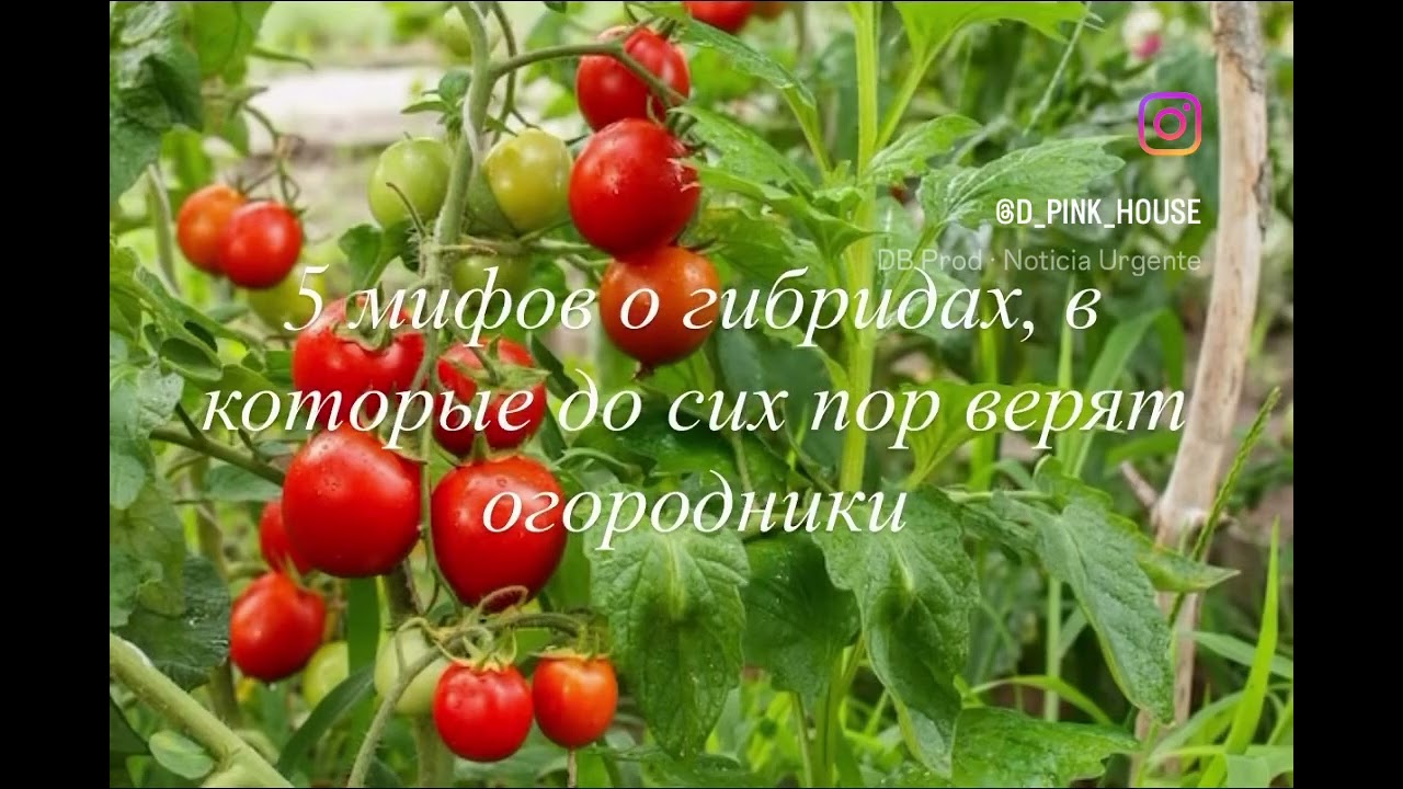 12 марта 2026 г.
