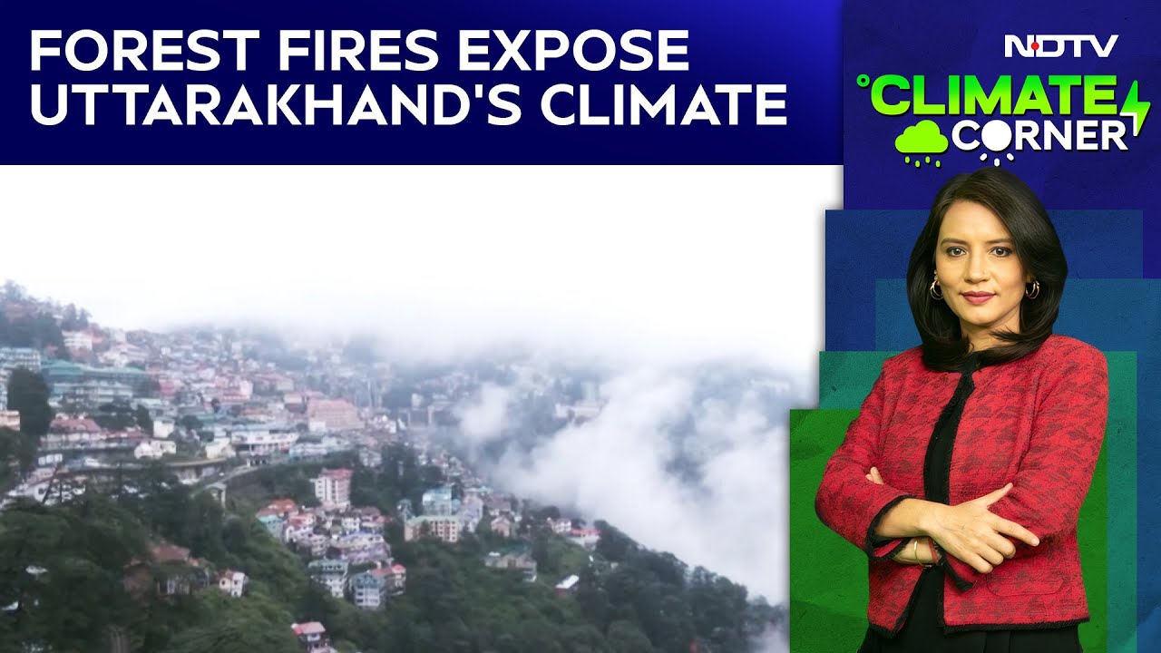 Dry, Dangerous Winter: Forest Fires Near Nanda Devi Expose Uttarakhand’s Climate Crisis