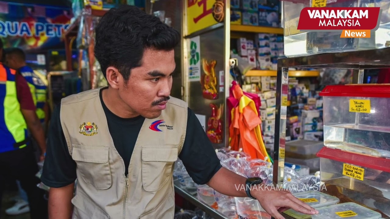 Banned fish species seized in raid on Pasar Pudu ornamental fish shops