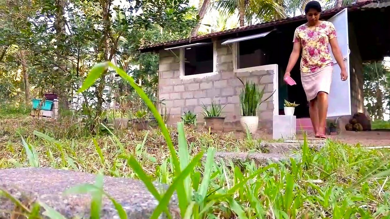 Village Life: Foraging Wild Ingredients & Cooking a Traditional Meal / No Talking ASMR