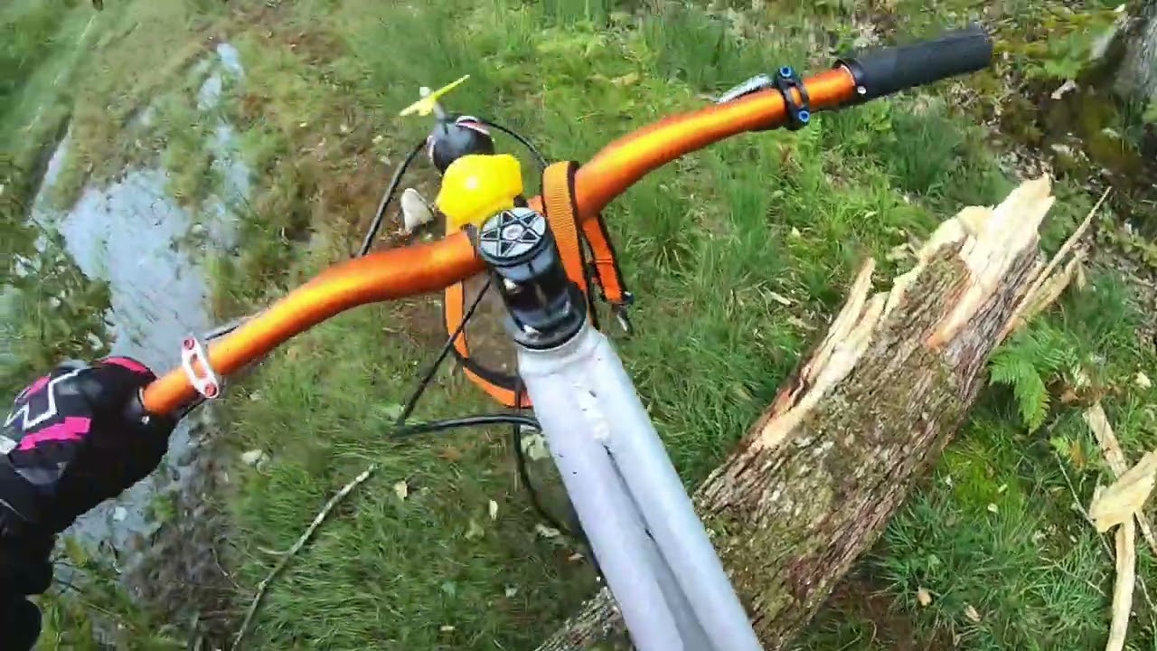 Entraînement Cani trottinette