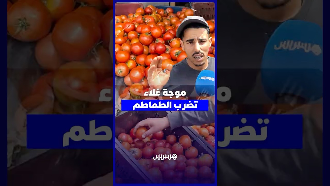 موجة غلاء تضرب الطماطم   ارتفاع السعر إلى 14 درهما يضغط على القدرة الشرائية