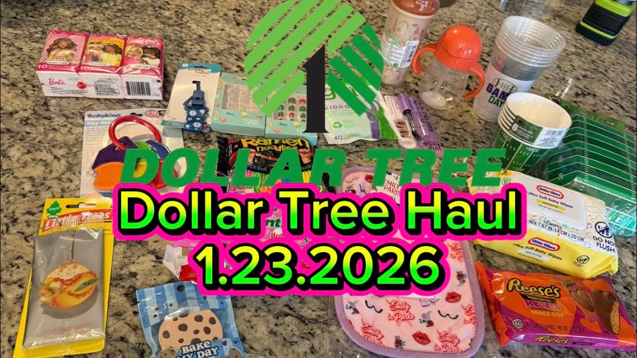 Dollar Tree Haul 1.23.2026