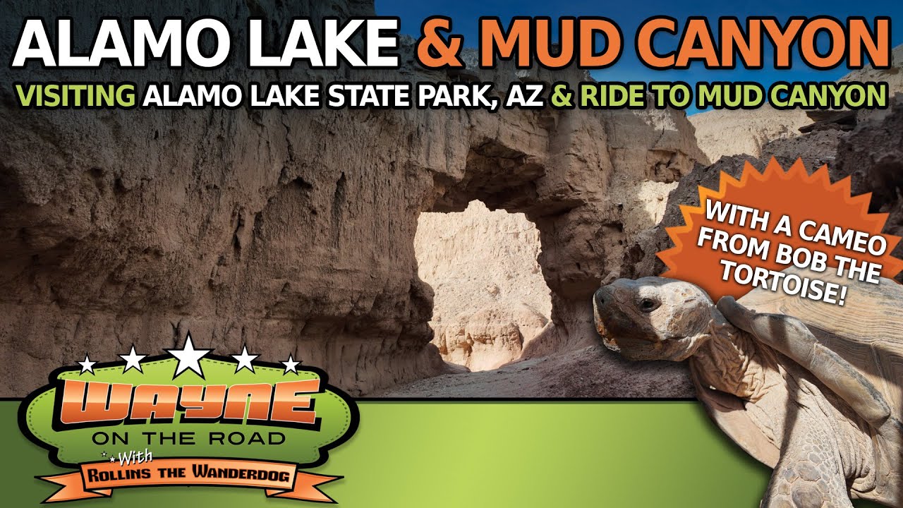 BLM Land Near Alamo Lake State Park - Mud Canyon Ride & Bob The Tortoise