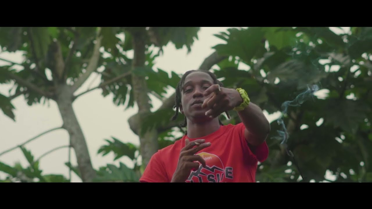 Draco - Guzu (Official Music Video)