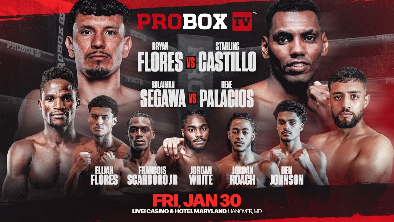 ProBox Live Workout