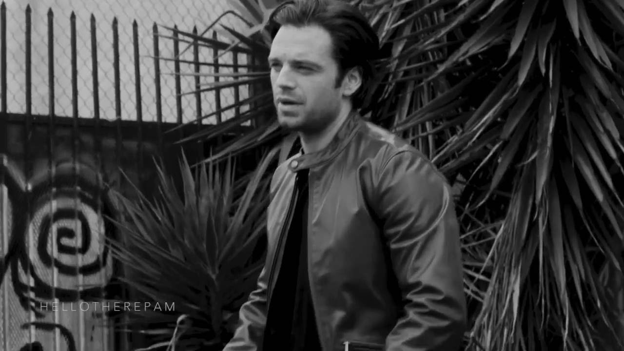 Sebastian Stan // This Is What You Came For