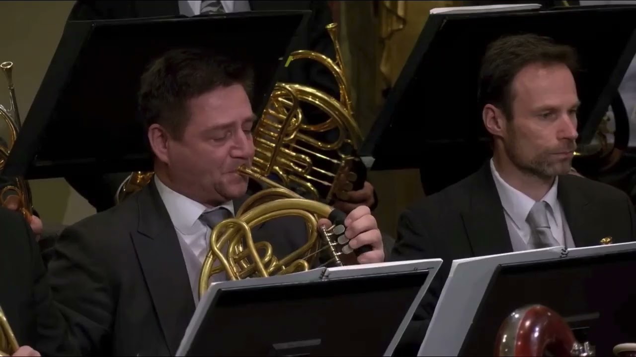 Williams&rsquo;s Star Wars Luke and Leia&rsquo;s Theme, Horn Solo