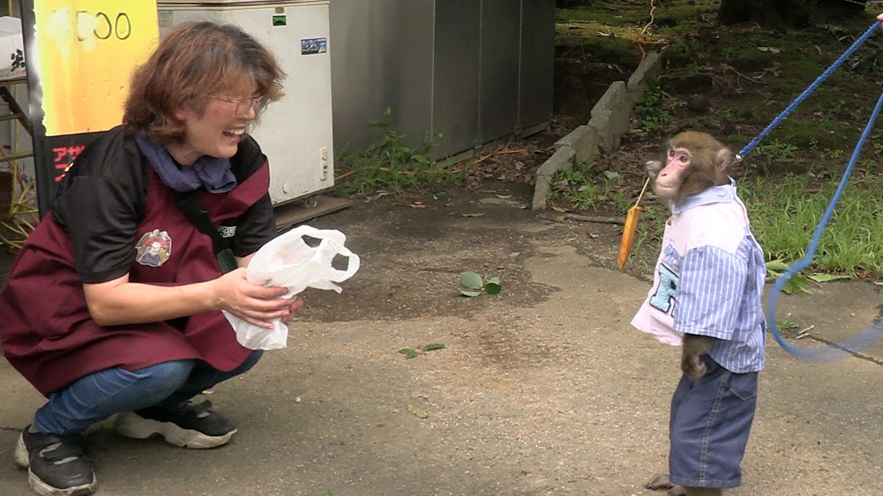 猿を連れて買い物に出るとみんな優しくしてくれる