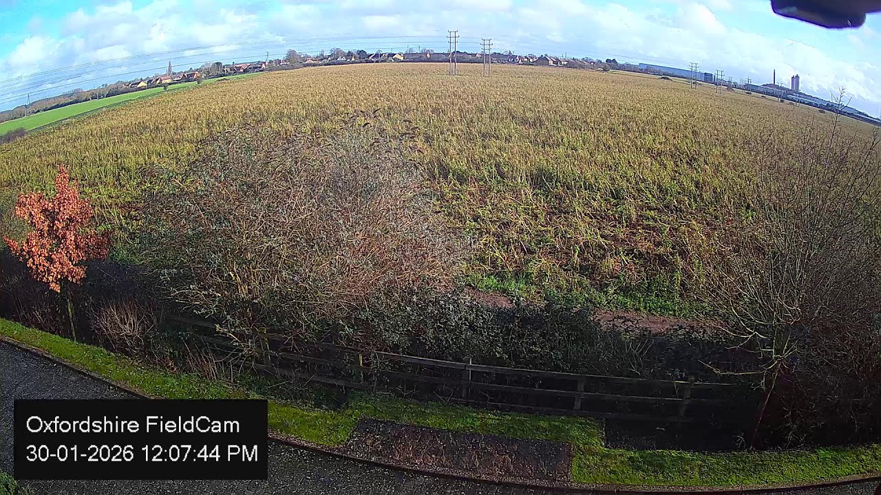 🔴 LIVE Oxfordshire FieldCam - Live Streaming from Oxfordshire, UK