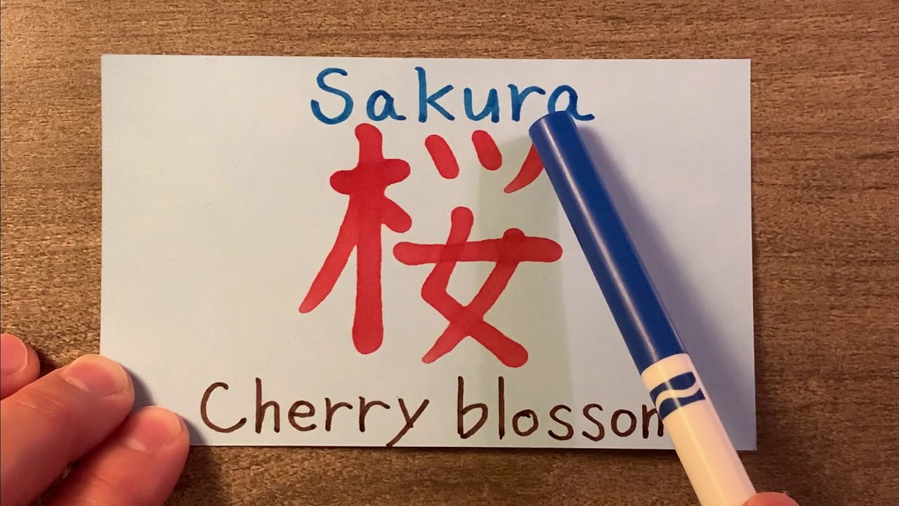 【Pronunciation in Japanese】Sakura 桜