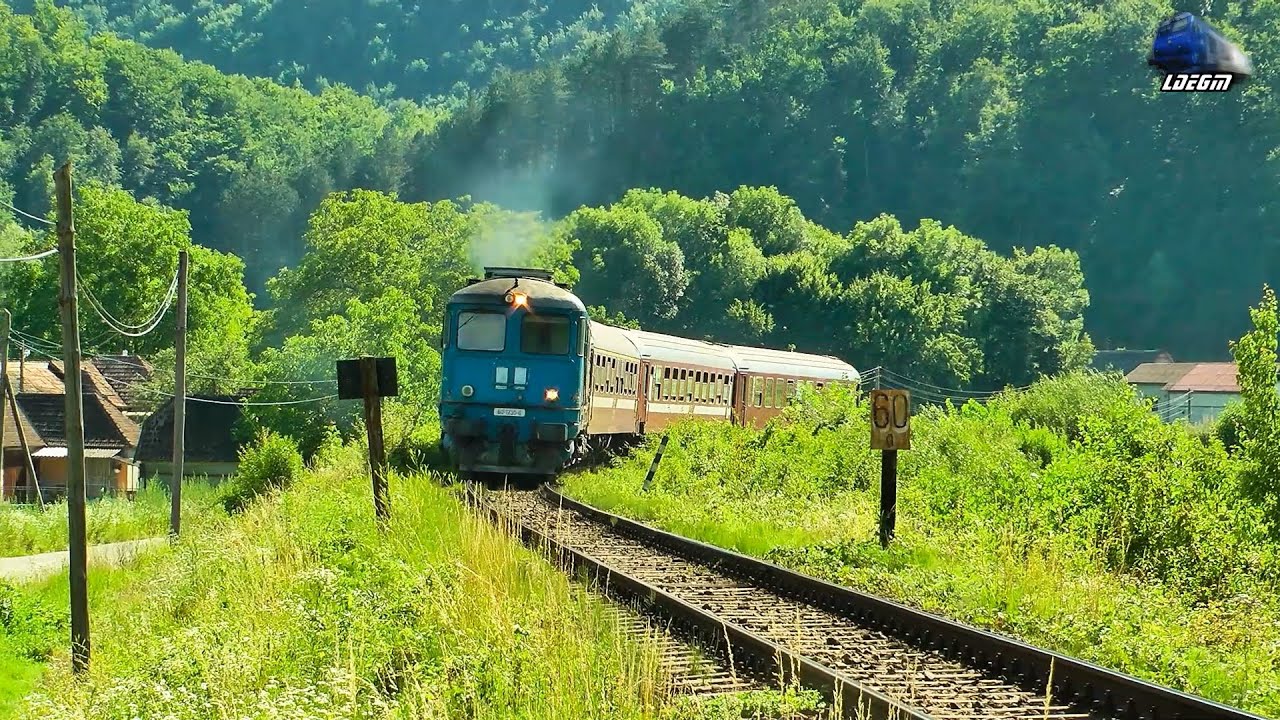 Fluieroasa/Whistle Loco 60-1230-6 cu Mecanic de Treaba/with Nice Engineer in Apuseni Mountains