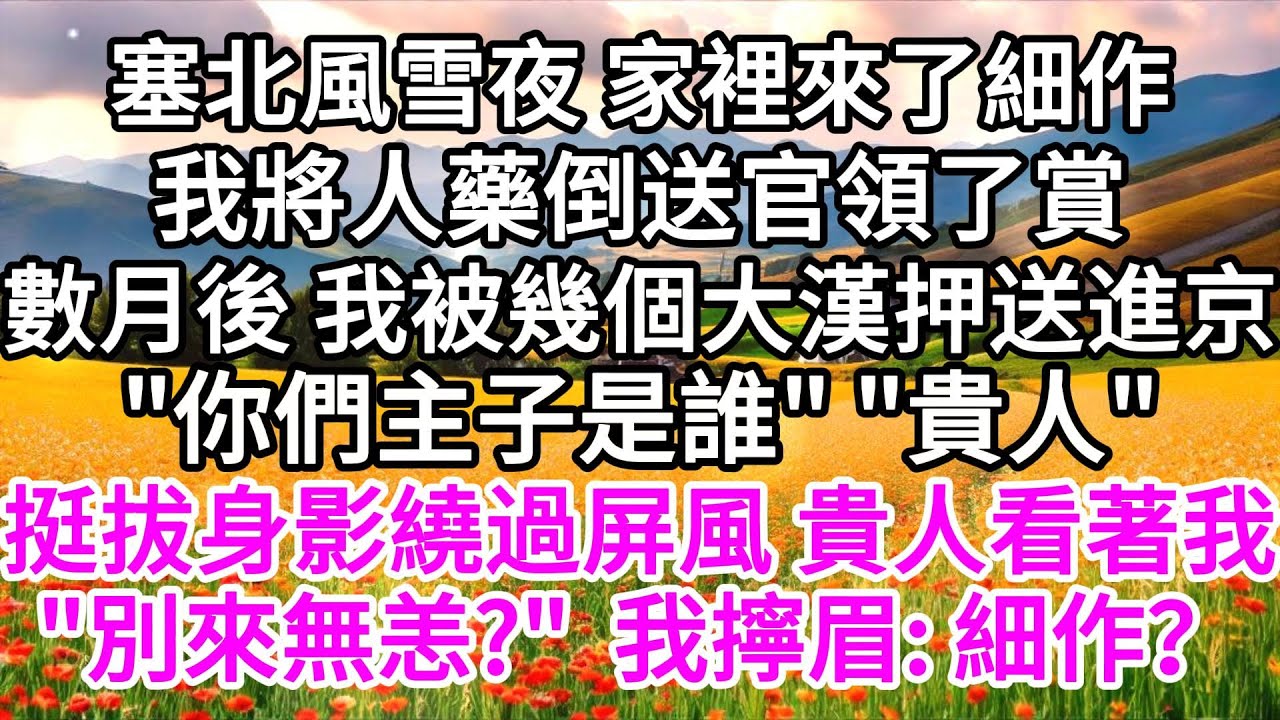 塞北風雪夜，家裡來了細作，我將人藥倒送官領了賞，數月後，我被幾個大漢押送進京，