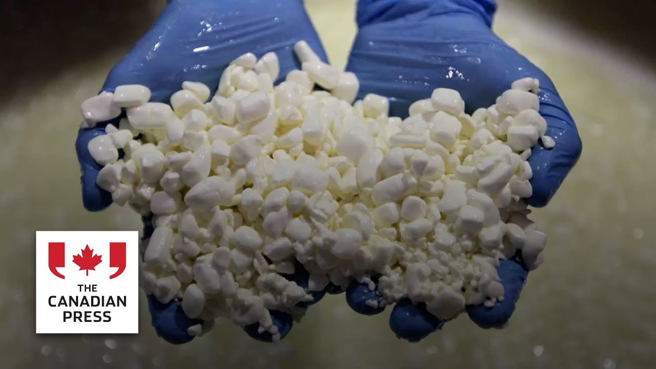 Dairy group seeks status for Quebec poutine cheese