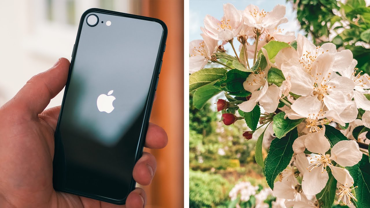 Полный тест камеры iPhone SE 2020! Лучше, чем показывают характеристики?
