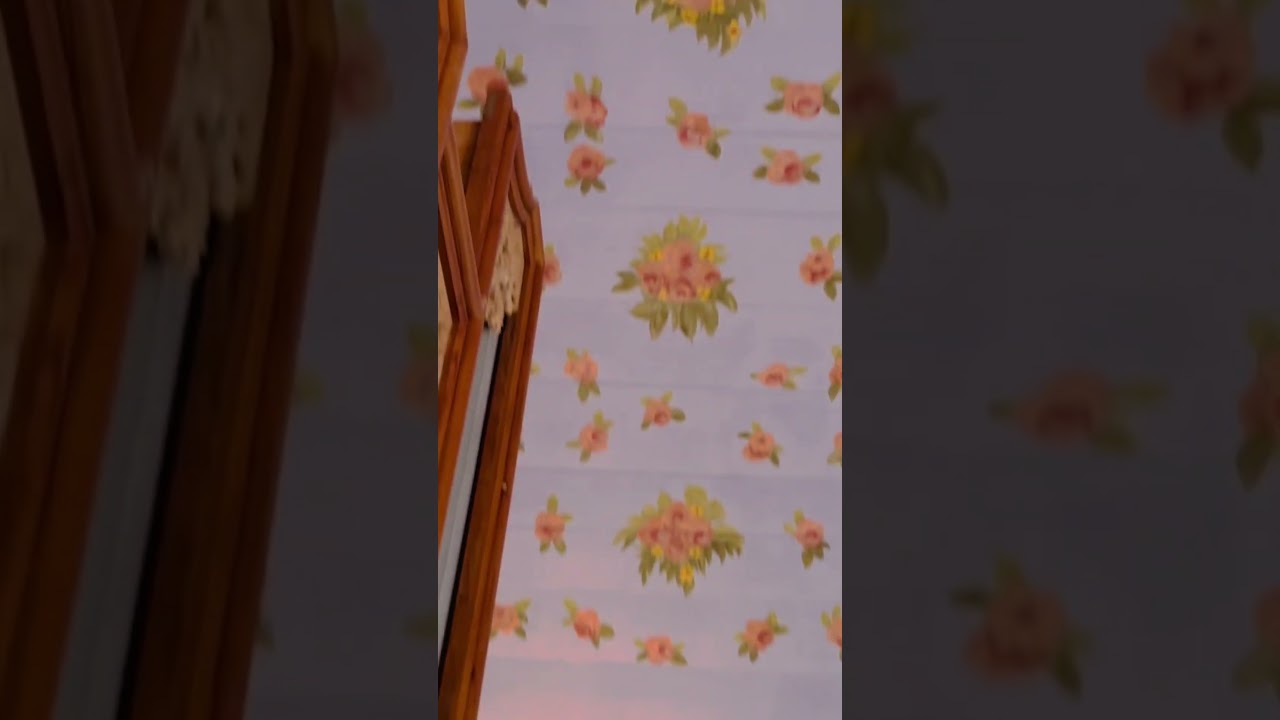 Vor Konzert #inselkirche #vlog #shorts Schuke Orgel Kloster Hiddensee, Rosendecke