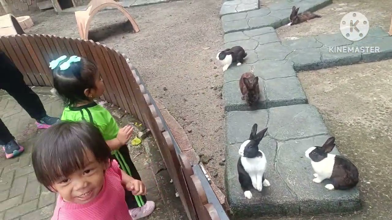 Mini zoo di nice play jogja with dek caca dan teman temanya #niceplay #paud #minizoo #yogyakarta