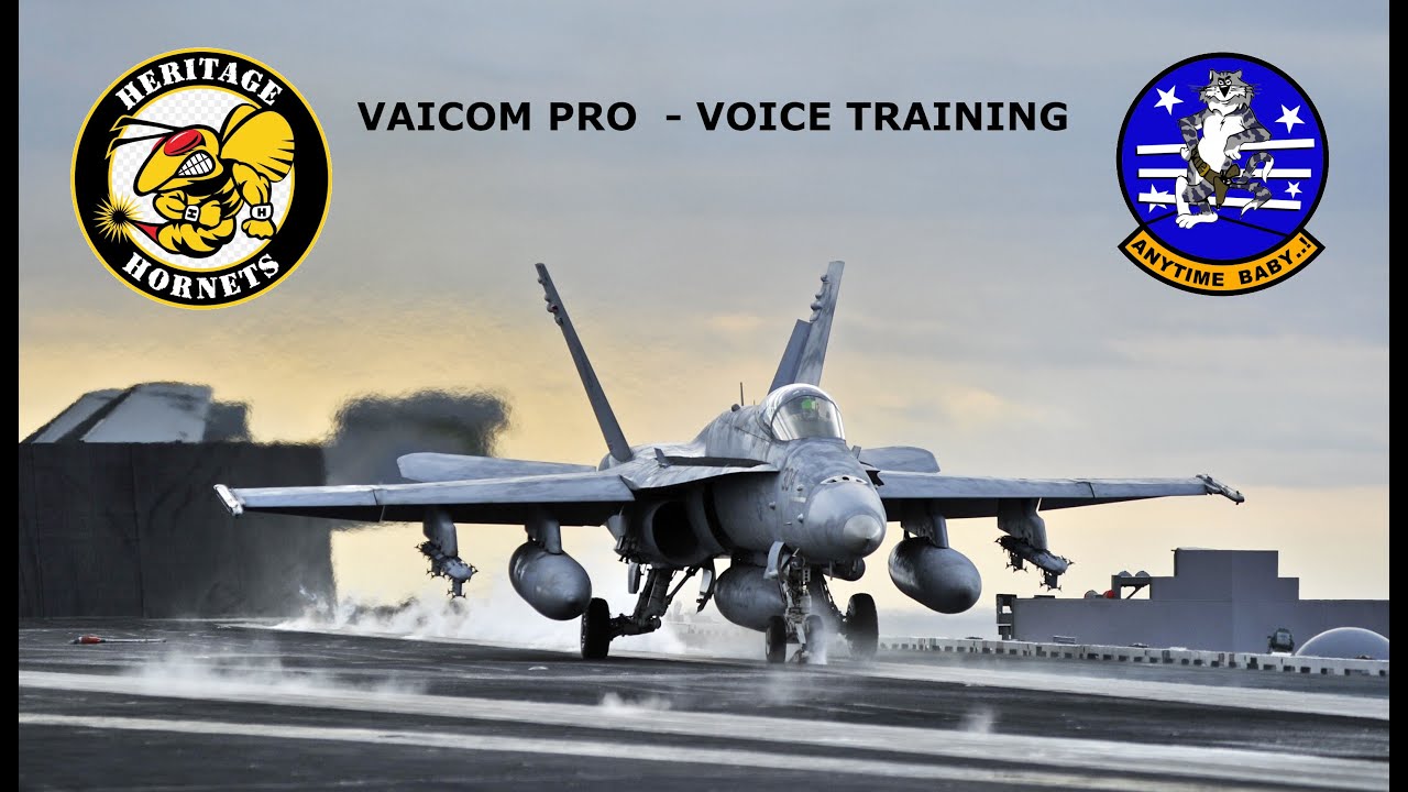 Vaicom Pro - Voice Training Tutorial