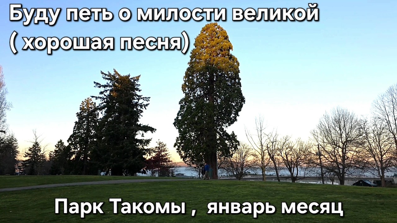 Буду петь о милости великой (хорошая песня), Парк Такомы,  январь месяц.