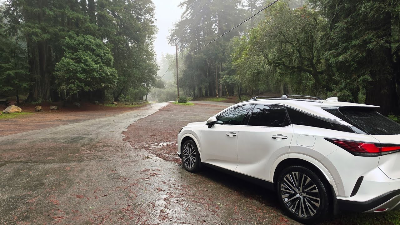 2025 Lexus RX350H Premium Plus | Remove Annoying Notifications of System Maintenance / Oil Change.