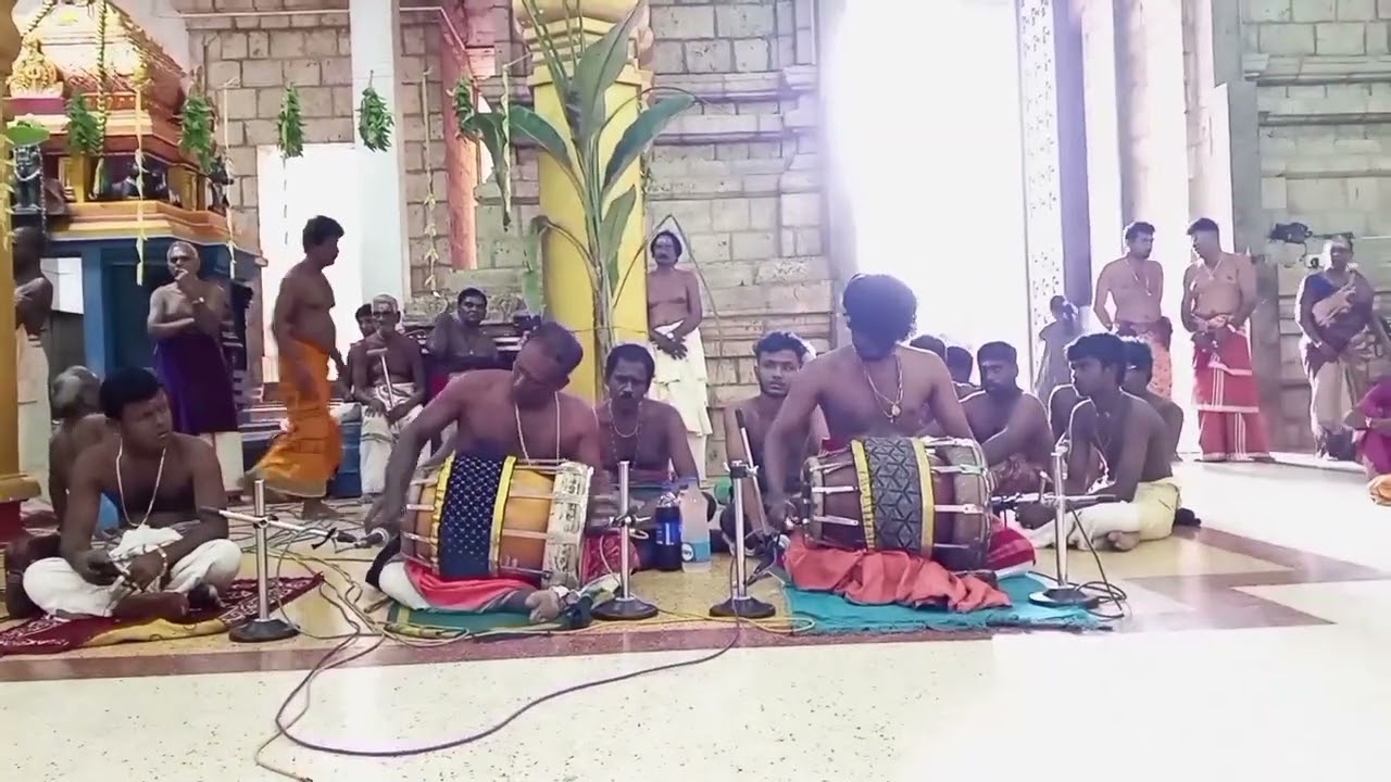 தவில் கச்சேரி 🎵🎶🎶❤️