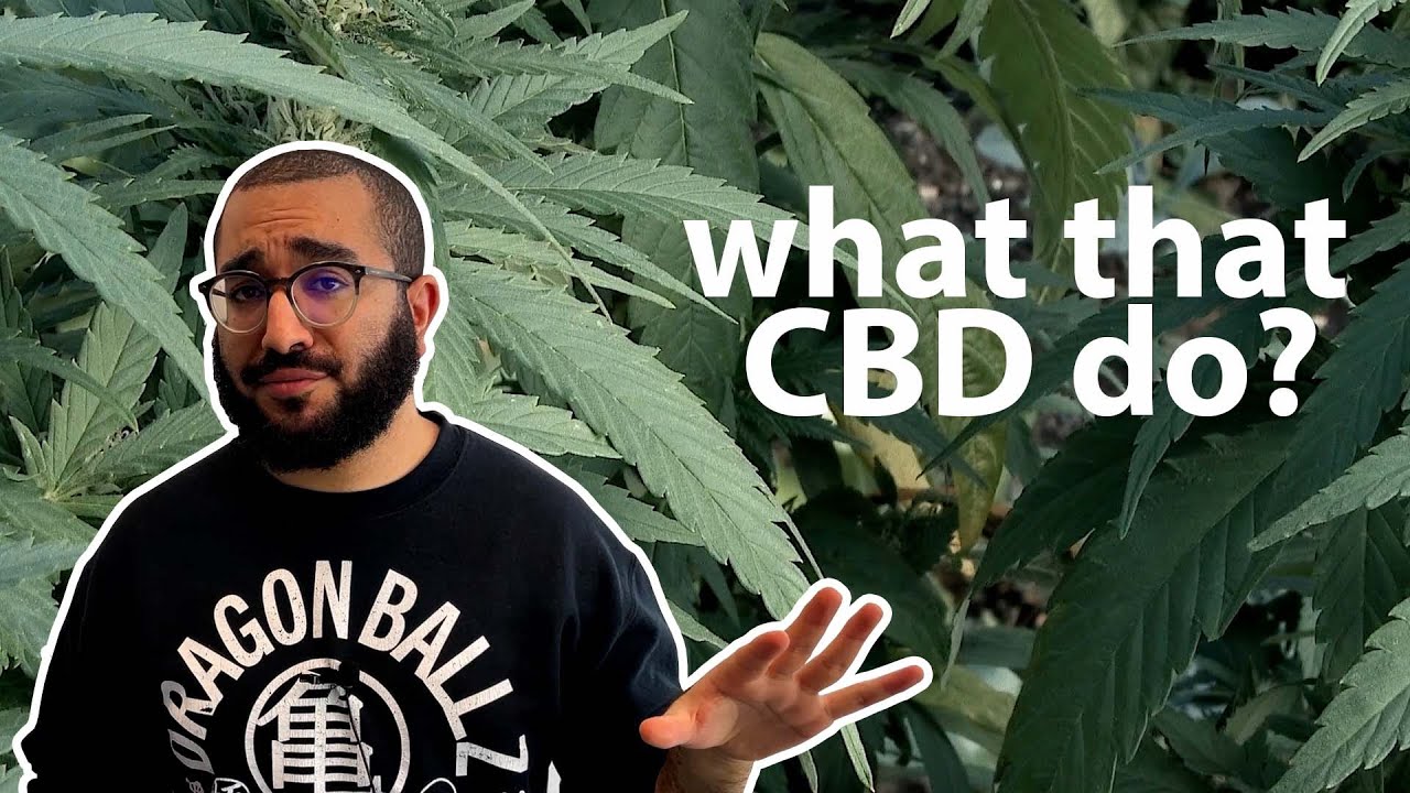 is CBD a cure-all?
